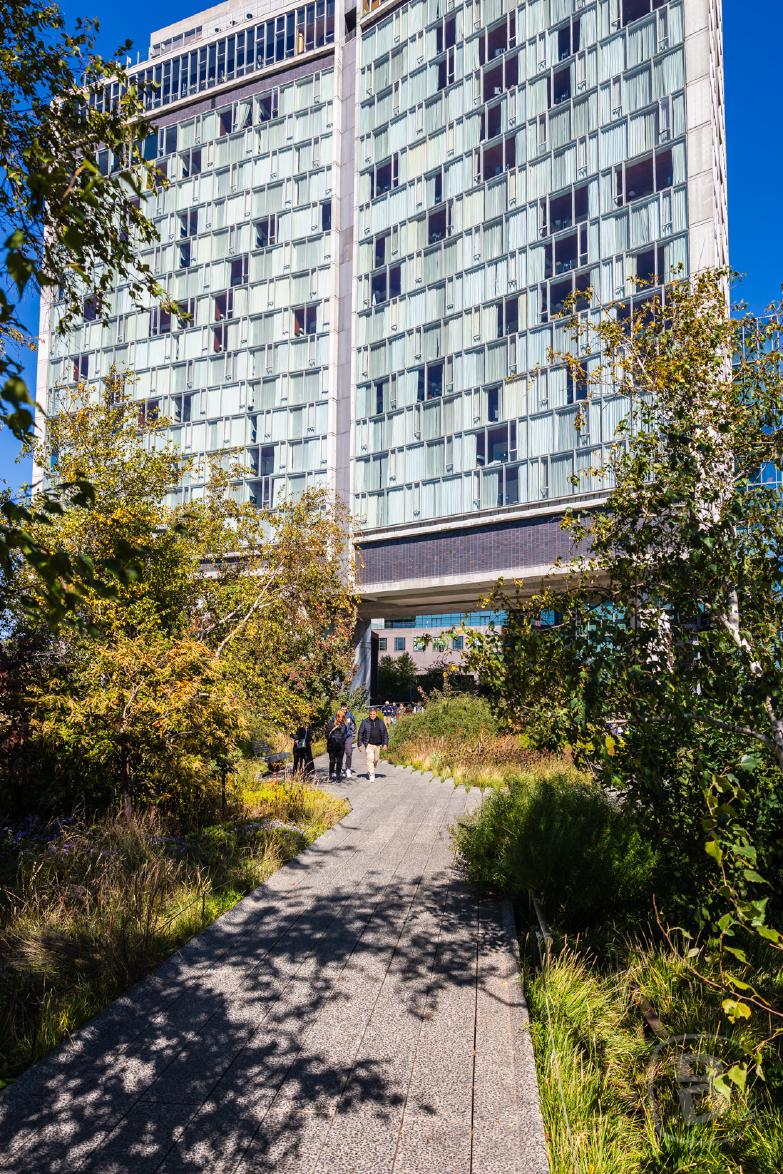 New York | Trasse The High Line